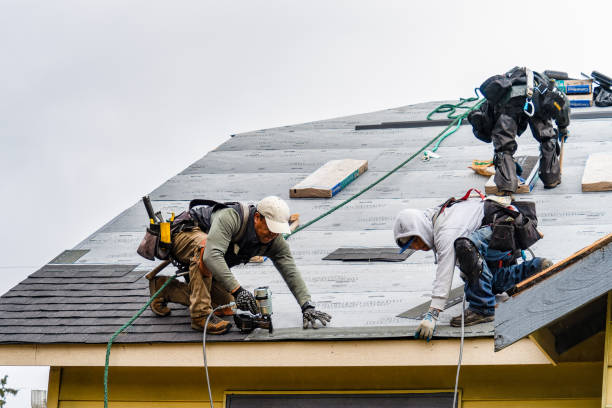 Professional Roofing technician working in Mohler, WA